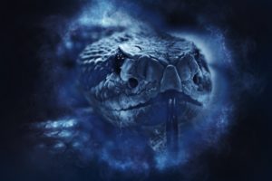 rattlesnake-1892417_1280