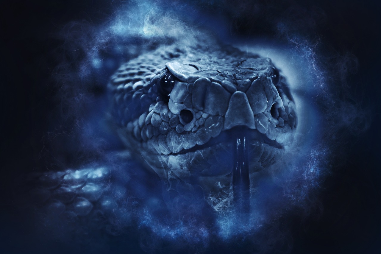 rattlesnake-1892417_1280