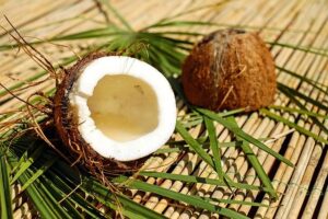 Cocco e dieta