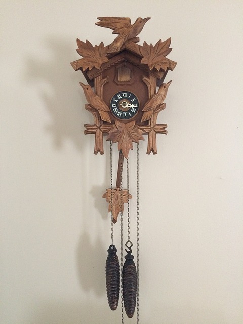 Orologi a cucù