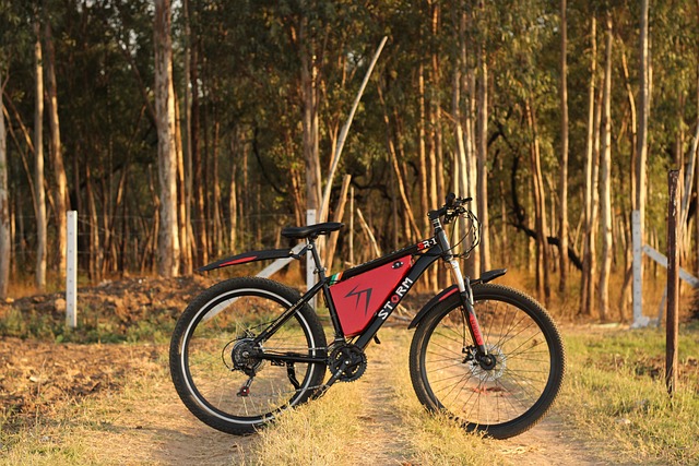 Noleggiare un’e-bike in Toscana: il modo più smart (e green) per esplorare la regione